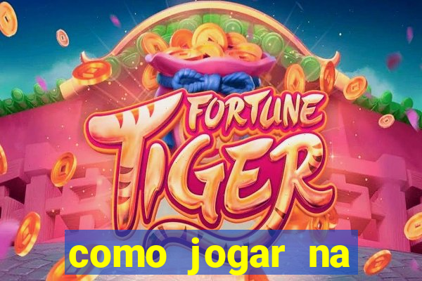 como jogar na teimosinha da lotofacil