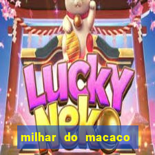 milhar do macaco que mais saem no jogo do bicho