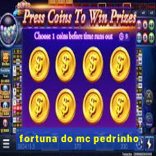 fortuna do mc pedrinho