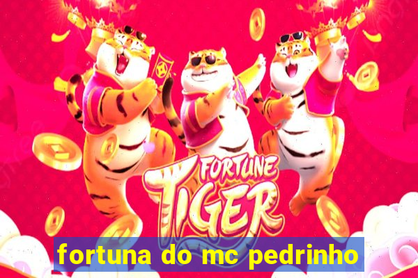 fortuna do mc pedrinho