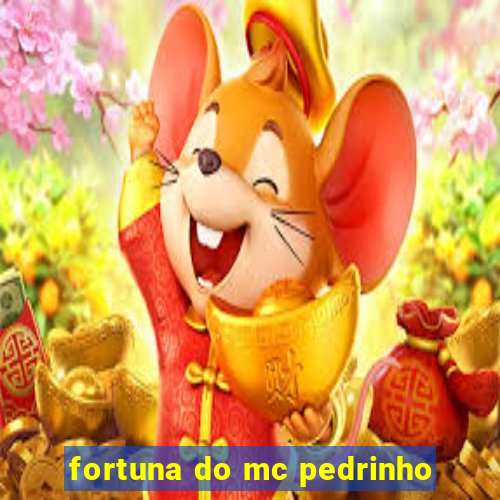 fortuna do mc pedrinho