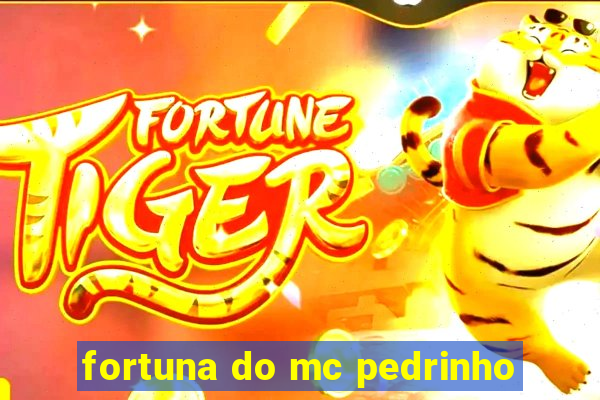 fortuna do mc pedrinho