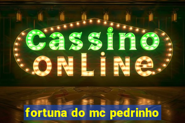 fortuna do mc pedrinho