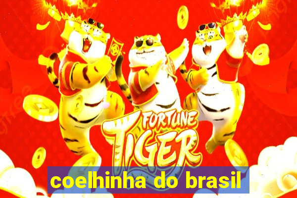 coelhinha do brasil