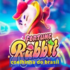 coelhinha do brasil