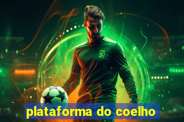 plataforma do coelho