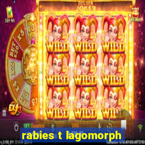 rabies t lagomorph