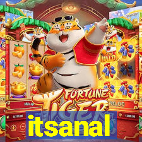 itsanal