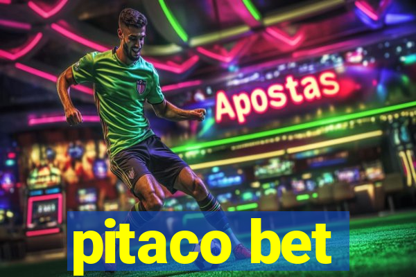 pitaco bet