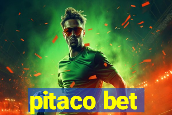 pitaco bet