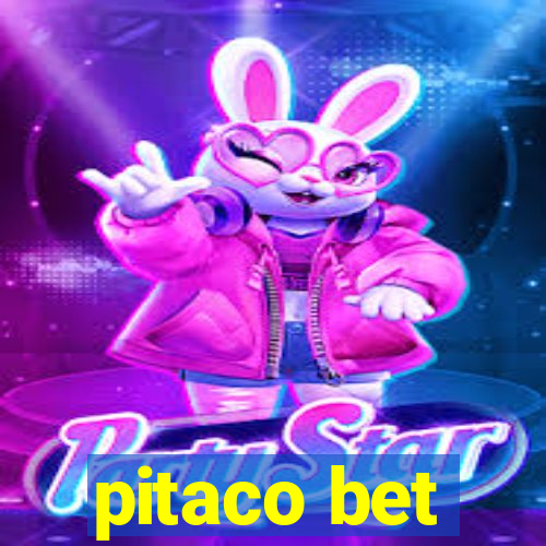 pitaco bet