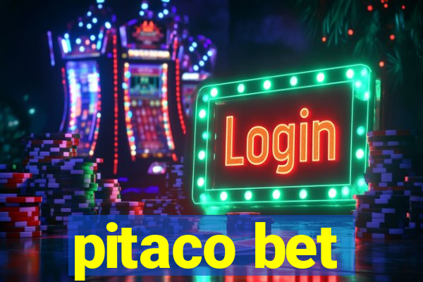 pitaco bet