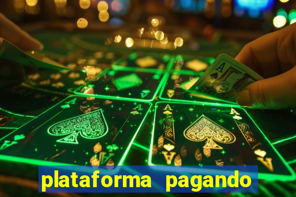 plataforma pagando no cadastro tigre