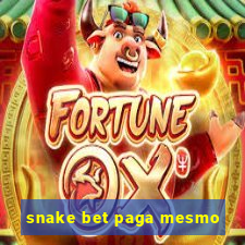 snake bet paga mesmo