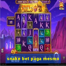 snake bet paga mesmo