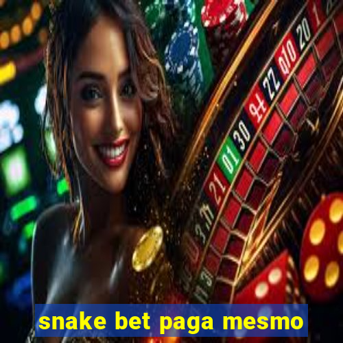 snake bet paga mesmo