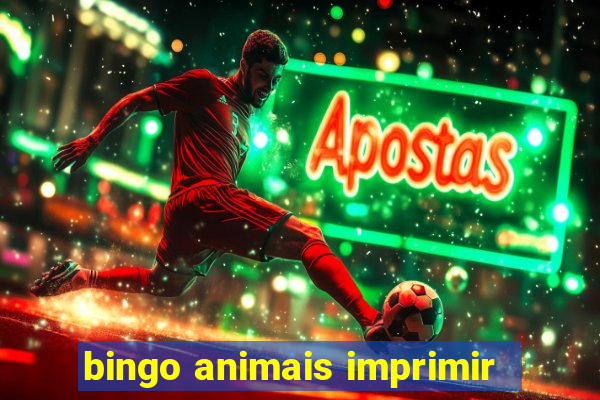 bingo animais imprimir