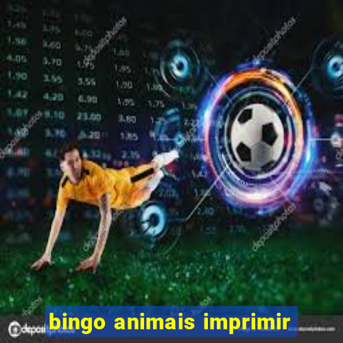 bingo animais imprimir