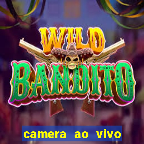 camera ao vivo beto carrero