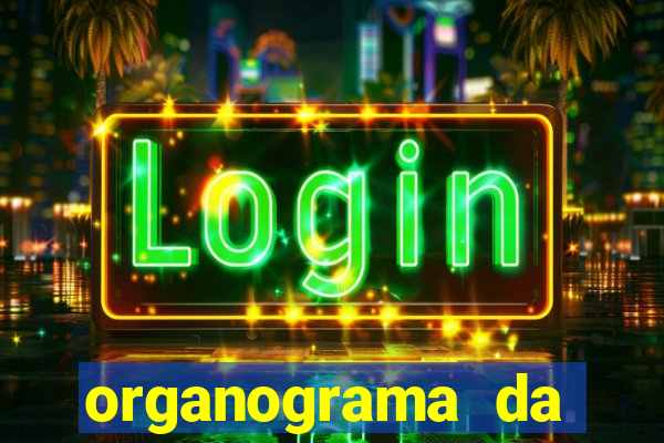 organograma da cacau show