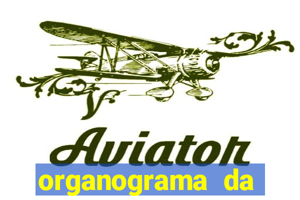 organograma da cacau show