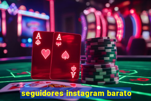 seguidores instagram barato