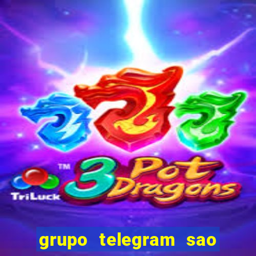 grupo telegram sao jose do rio preto