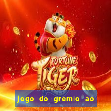 jogo do gremio ao vivo hd