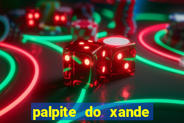 palpite do xande de hoje