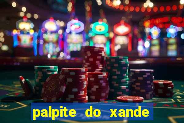 palpite do xande de hoje