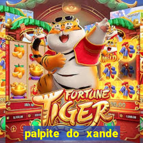 palpite do xande de hoje