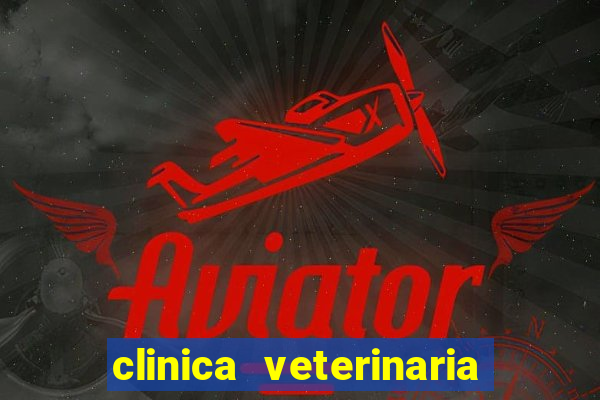 clinica veterinaria cuidar betim