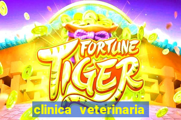 clinica veterinaria cuidar betim