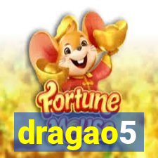 dragao5