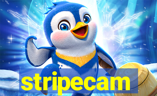 stripecam