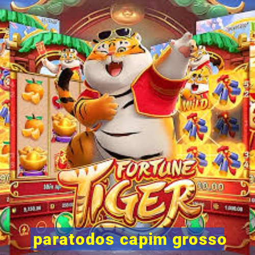 paratodos capim grosso