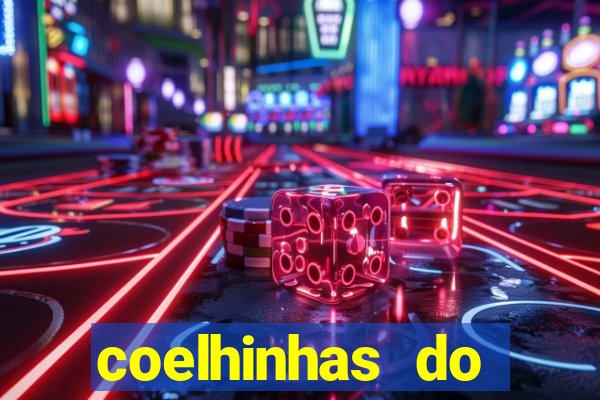 coelhinhas do brasil acompanhantes