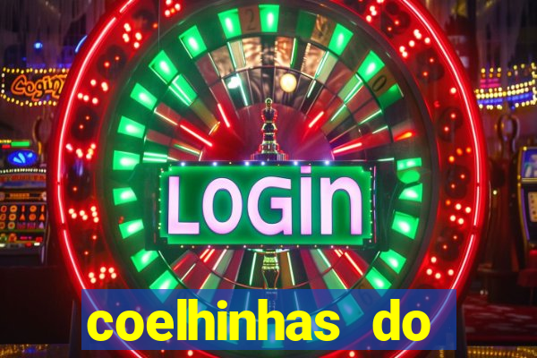 coelhinhas do brasil acompanhantes