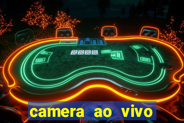 camera ao vivo terminal vila nova cachoeirinha