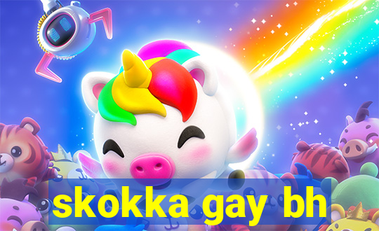 skokka gay bh