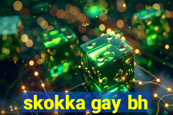 skokka gay bh