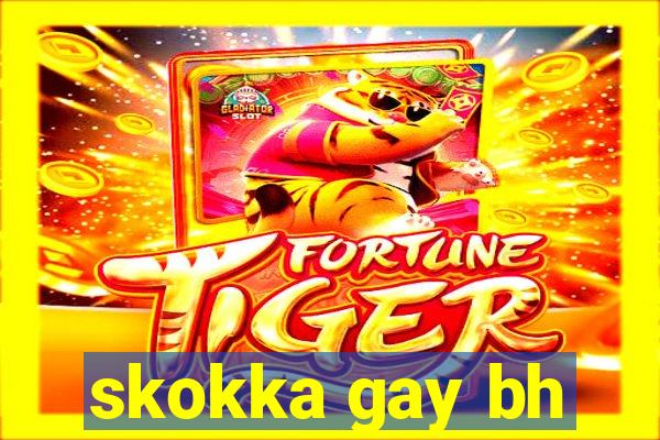 skokka gay bh