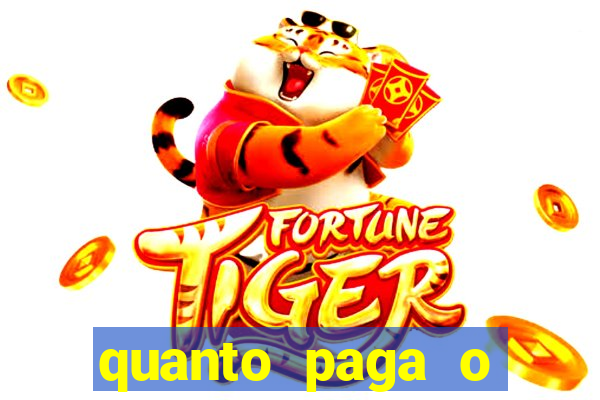 quanto paga o jungle fight