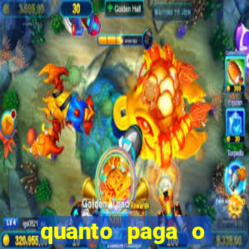 quanto paga o jungle fight