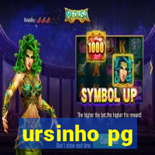 ursinho pg