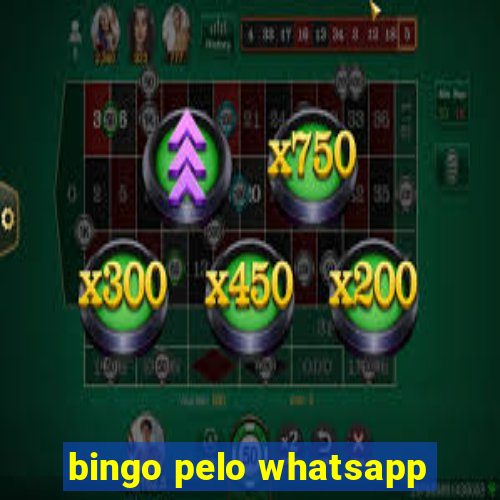 bingo pelo whatsapp