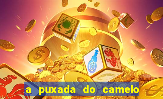 a puxada do camelo no jogo do bicho