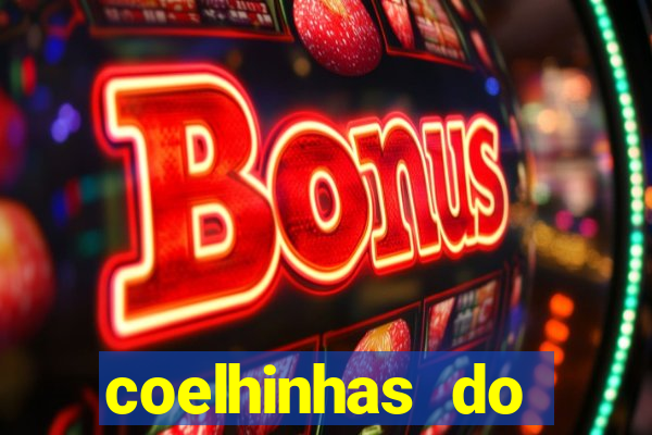 coelhinhas do brasil jp