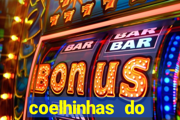 coelhinhas do brasil jp