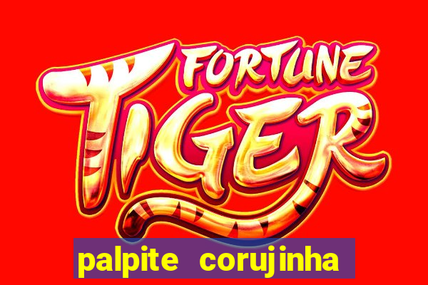 palpite corujinha de hoje